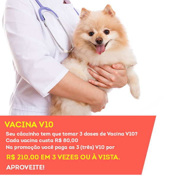 Promoções da Clínica Veterinária e Pet Shop em Barueri SP Pet Shop