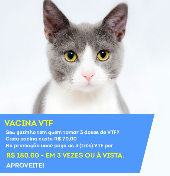 Promoções da Clínica Veterinária e Pet Shop em Barueri SP Pet Shop