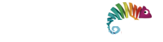 WebFormas Agência de Marketing Digital em São Paulo